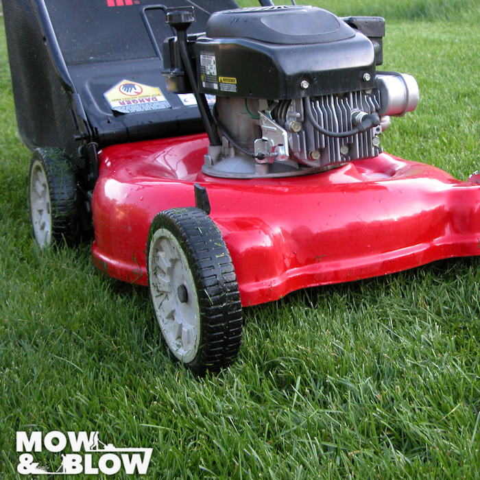 Common Lawn Maintenance Mistakes and what to do instead