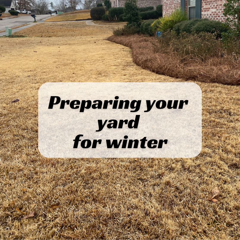 preparing your yard for winter