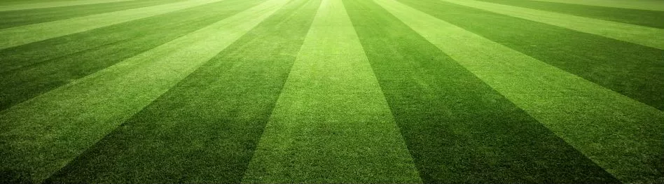 Perfectly manicured and striped grass